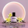 VANILLA eau de parfum - Image 2